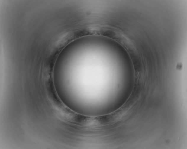 X0000091910702200709051418