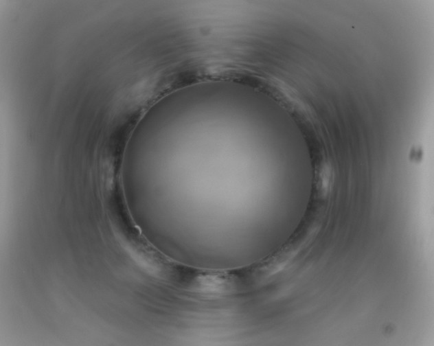 X0000091910703200709051418