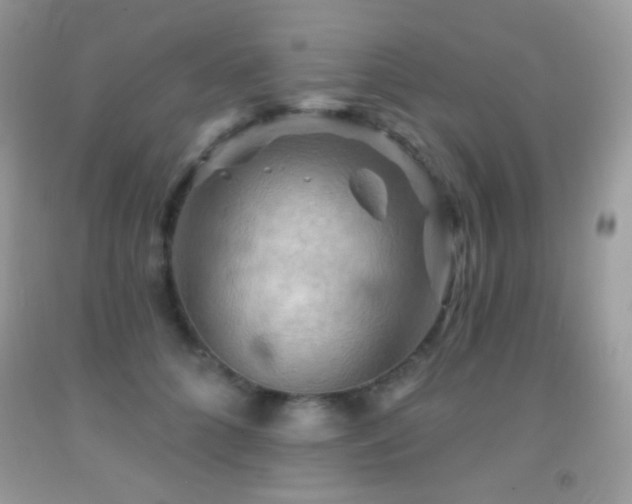 X0000091910704200709051418