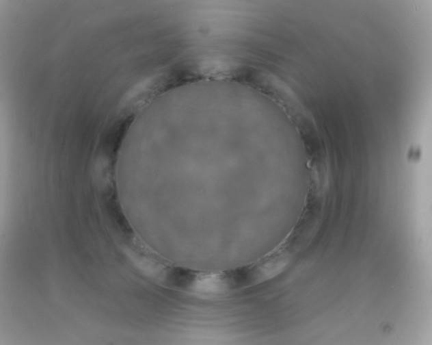 X0000091910705200709051418