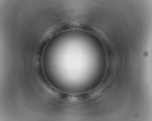 X0000091910706200709051418