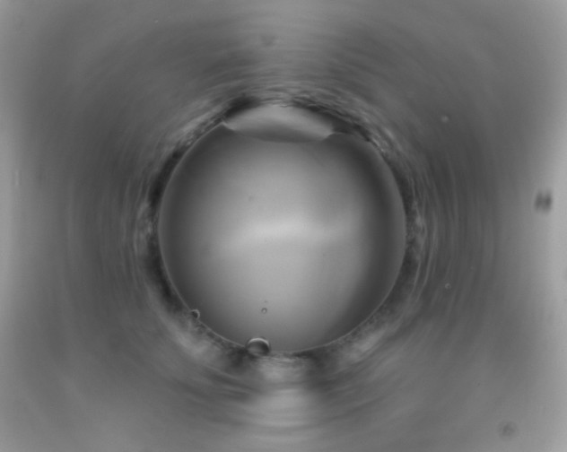 X0000091910707200709051418