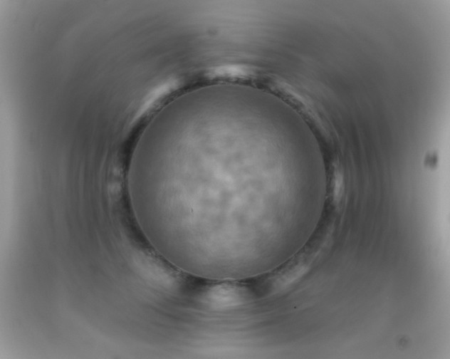 X0000091910708200709051418