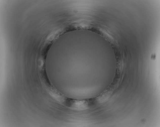 X0000091910709200709051418