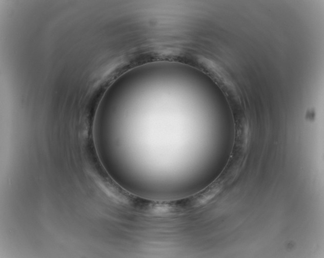 X0000091910710200709051418