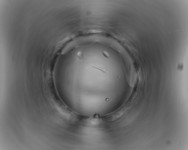 X0000091910711200709051418