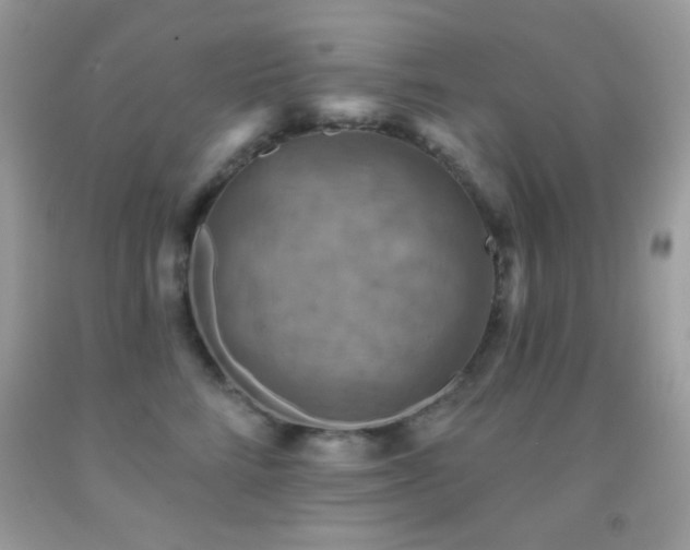 X0000091910712200709051418