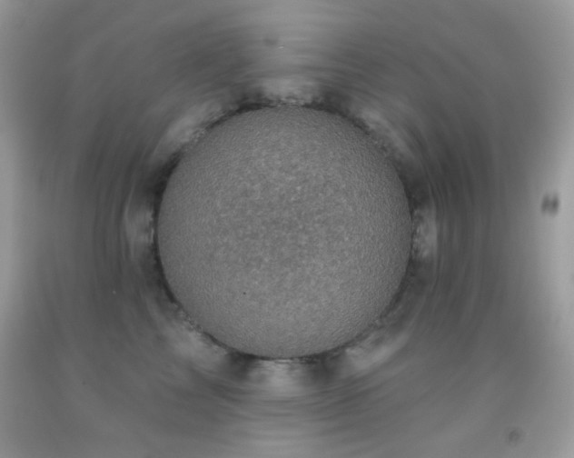 X0000091910713200709051418