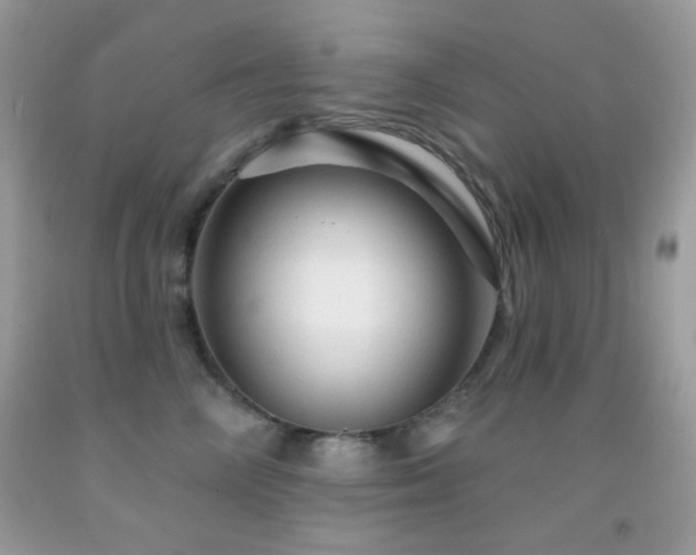 X0000091910714200709051418