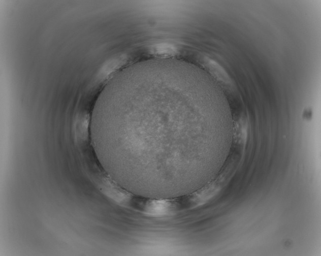 X0000091910717200709051418