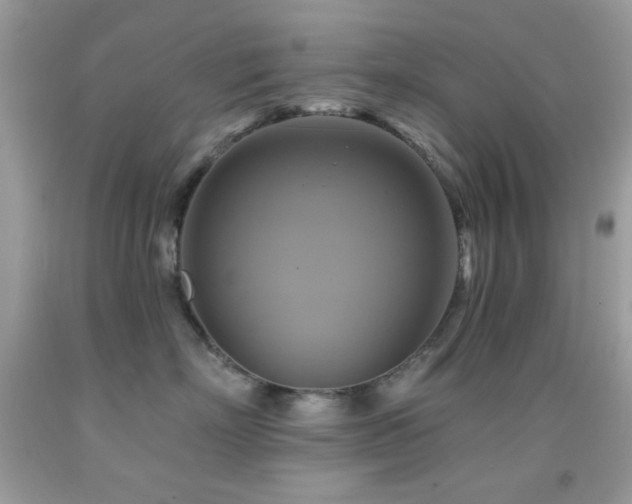 X0000091910718200709051418