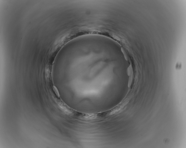X0000091910720200709051418