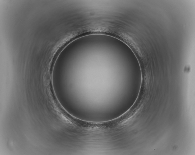 X0000091910721200709051417