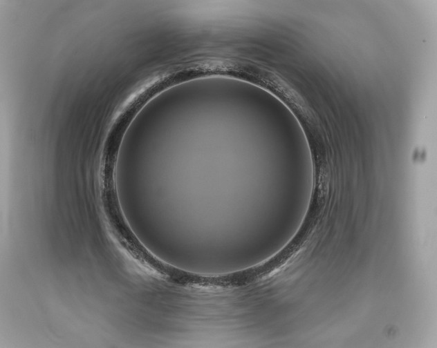 X0000091910722200709051417