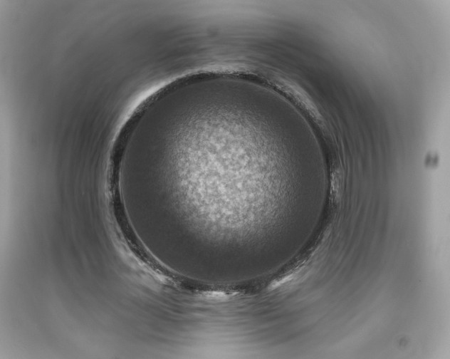 X0000091910724200709051417