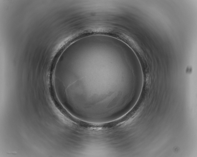 X0000091910725200709051417