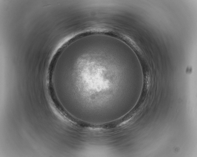 X0000091910726200709051417