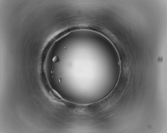 X0000091910728200709051418