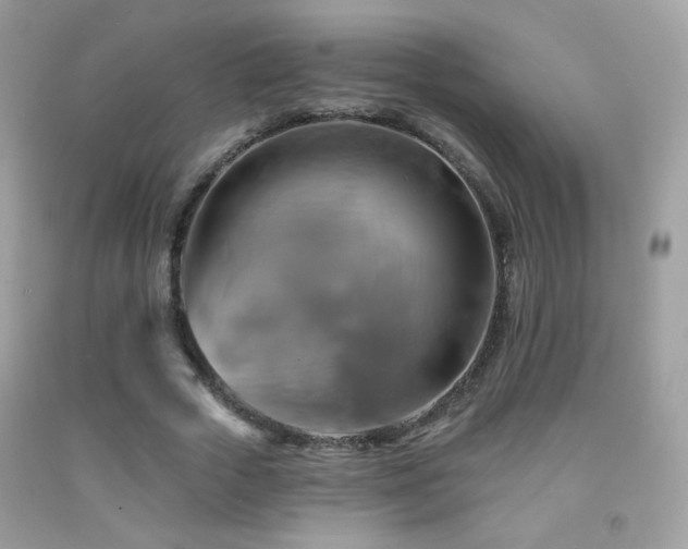 X0000091910729200709051418