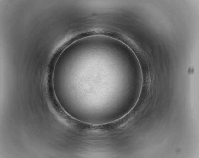 X0000091910730200709051418