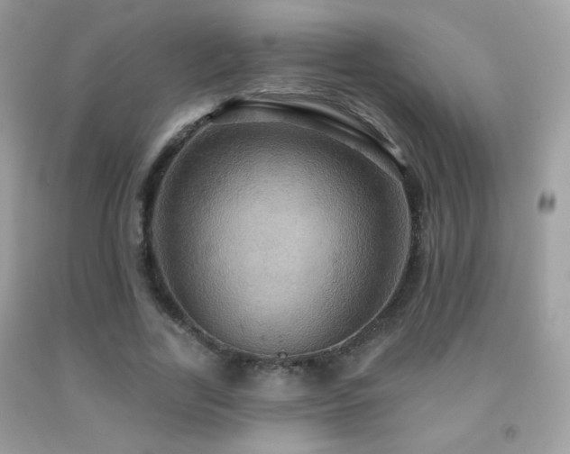X0000091910731200709051418