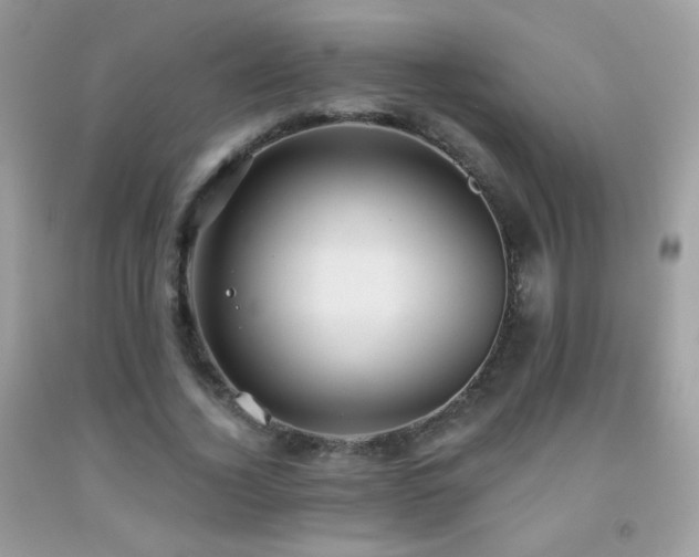 X0000091910732200709051418