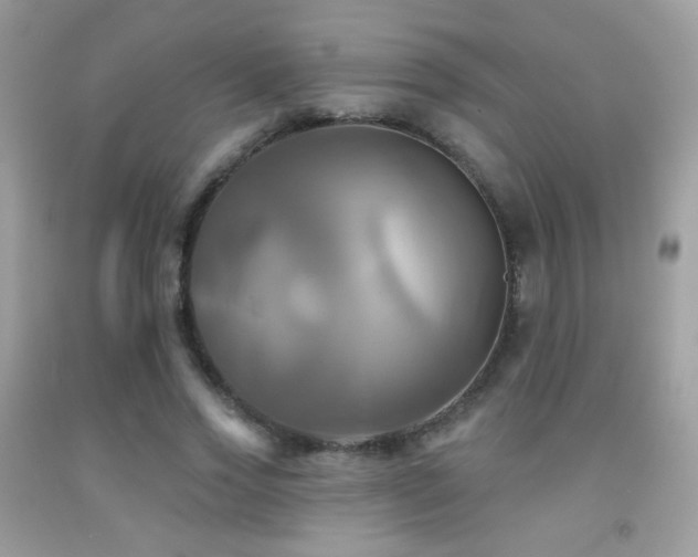 X0000091910733200709051418