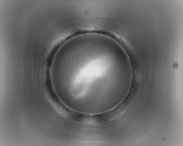 X0000091910735200709051418