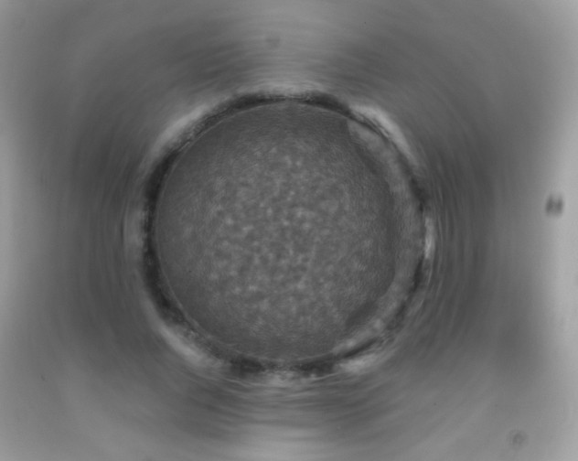X0000091910736200709051418