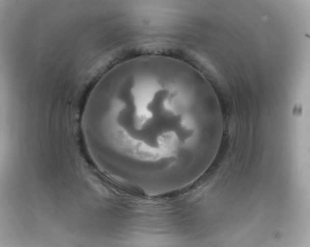 X0000091910737200709051418
