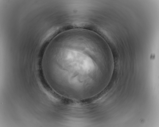 X0000091910738200709051418