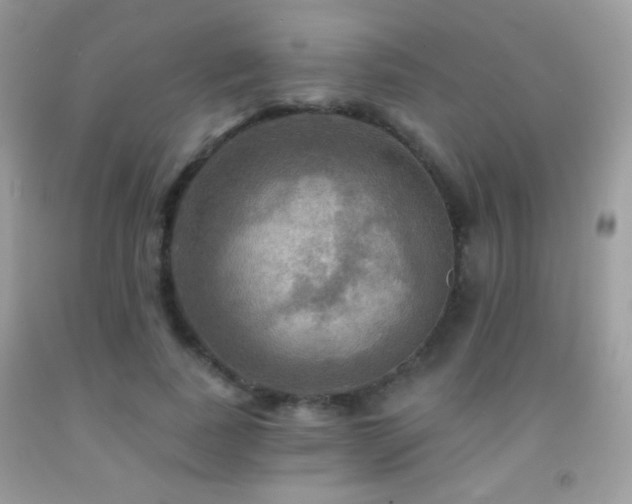 X0000091910739200709051418