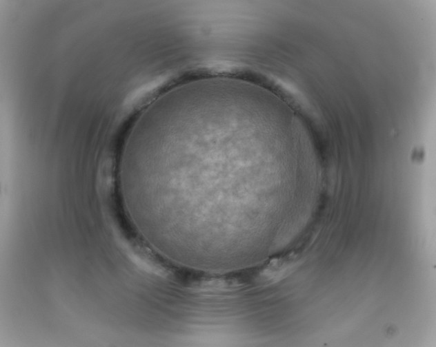 X0000091910740200709051418