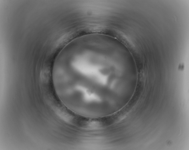 X0000091910741200709051418