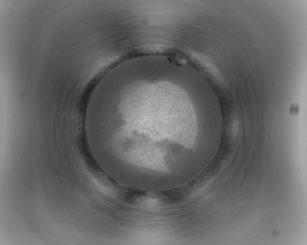 X0000091910743200709051418