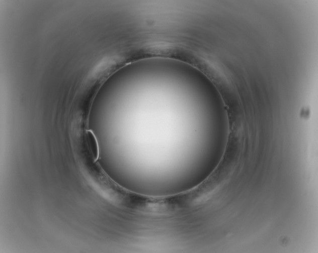 X0000091910744200709051418