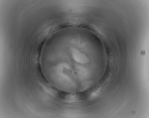 X0000091910745200709051418