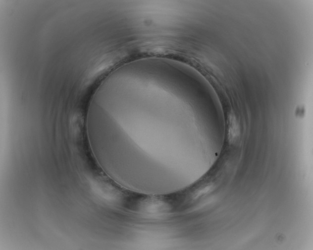X0000091910747200709051418