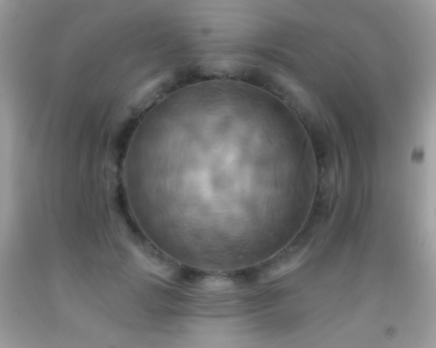 X0000091910749200709051418
