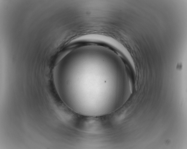 X0000091910750200709051418