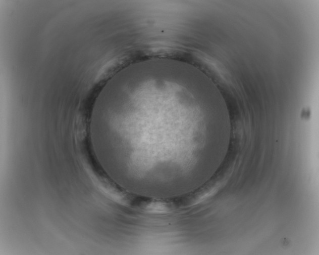 X0000091910751200709051418