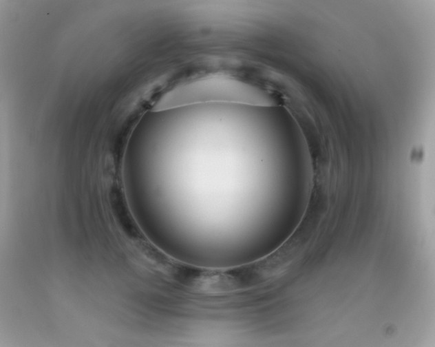 X0000091910752200709051418