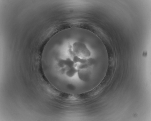 X0000091910753200709051418