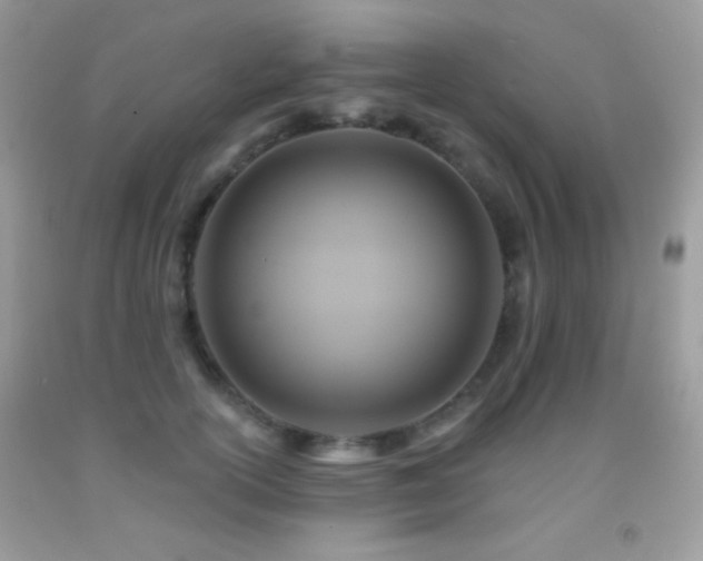 X0000091910754200709051418