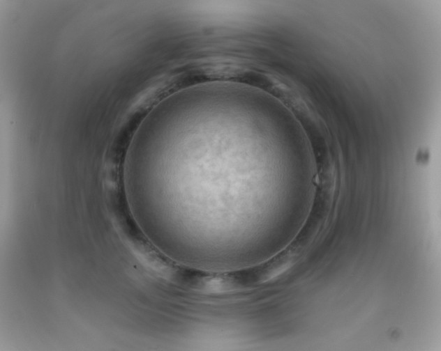 X0000091910755200709051418