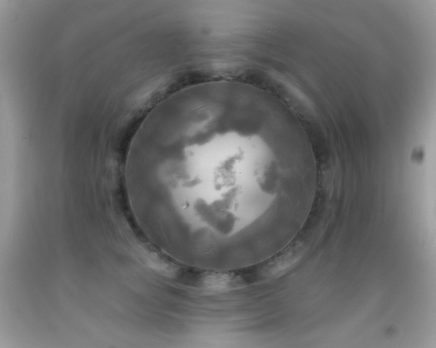 X0000091910757200709051418