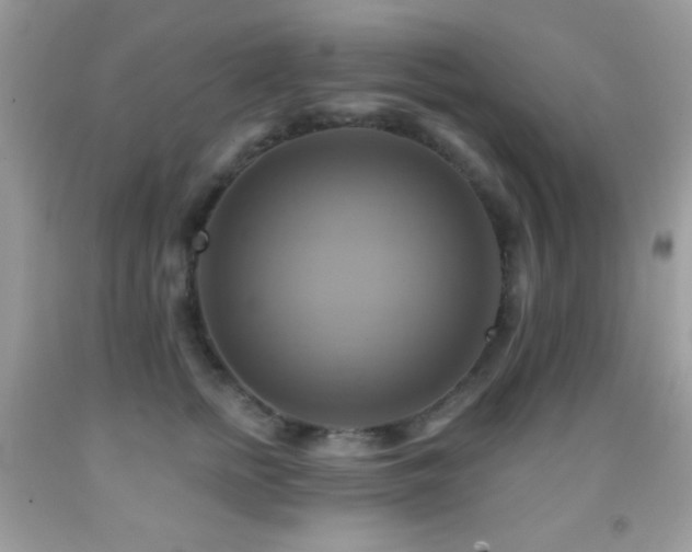 X0000091910758200709051418