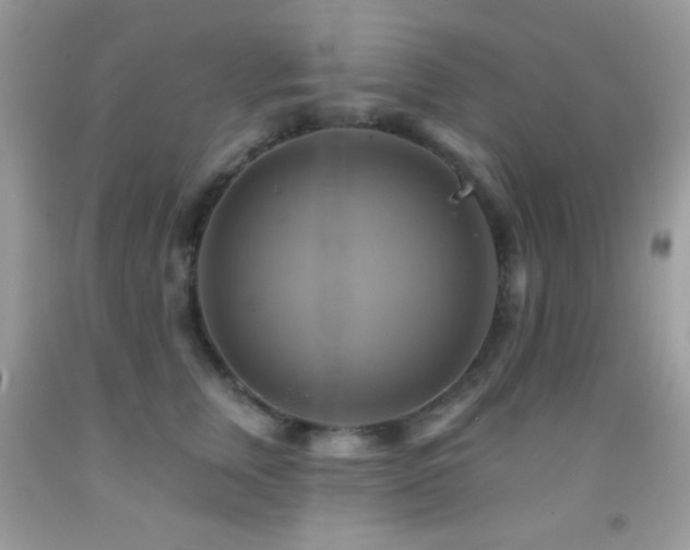 X0000091910759200709051418