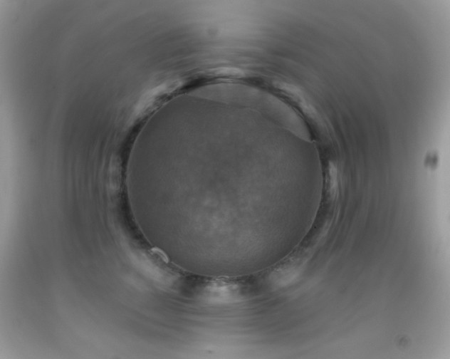 X0000091910760200709051418