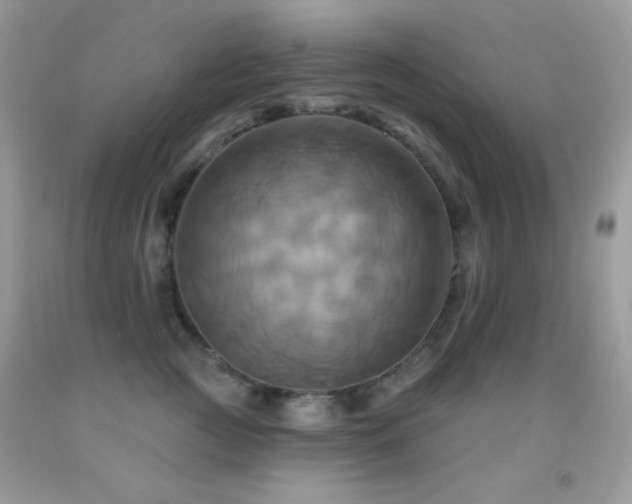 X0000091910761200709051418